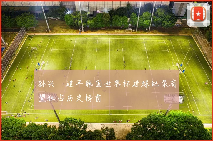 孙兴慜追平韩国世界杯进球纪录有望独占历史榜首