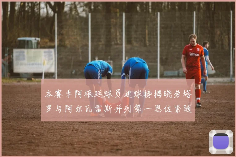 本赛季阿根廷球员进球榜揭晓劳塔罗与阿尔瓦雷斯并列第一恩佐紧随其后