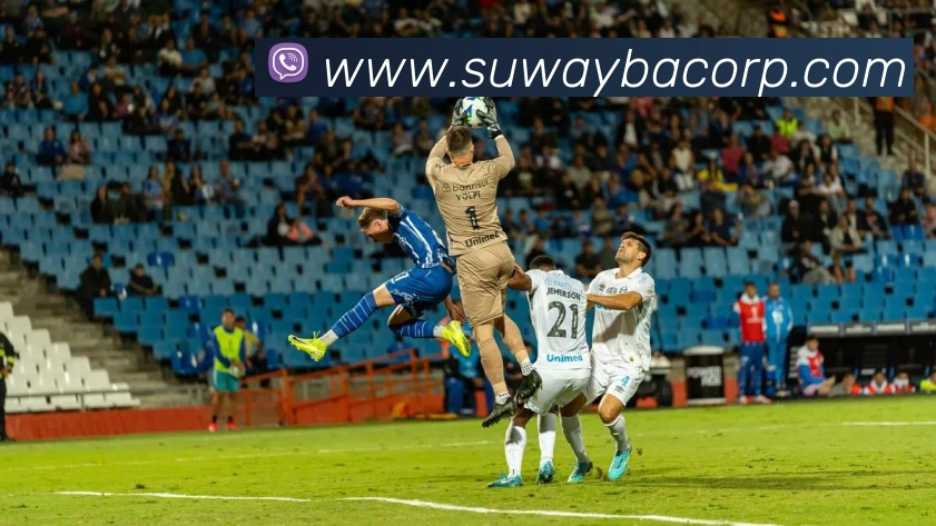 多媒体互动体验